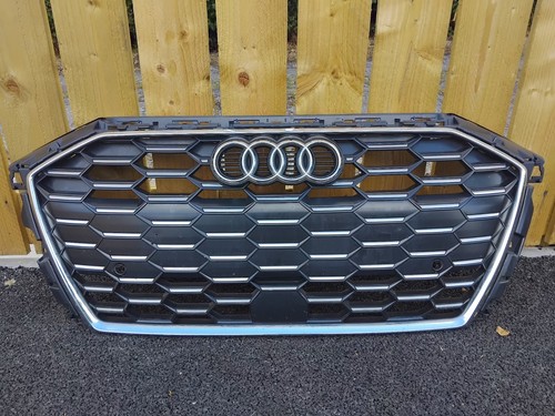Audi front grill - front,