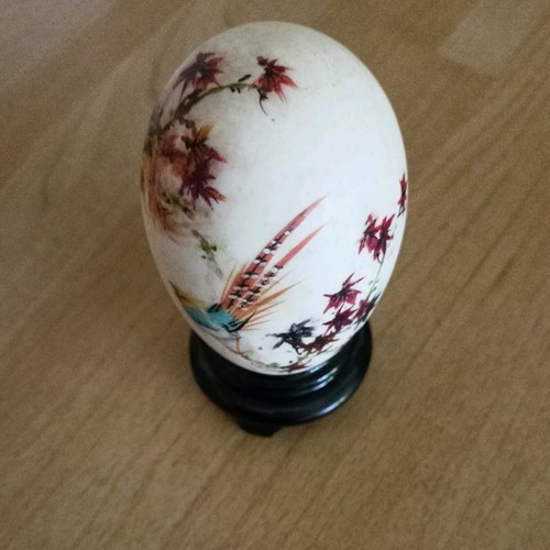 Hand painted bird and acer - painted,