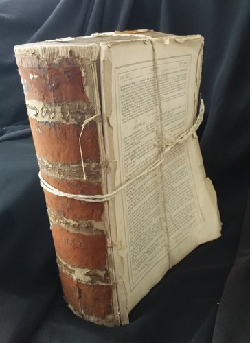 The illustrated family bible - the,