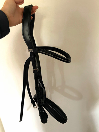 Horsemanship saddlery bridle - horsemanship,