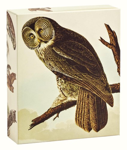 Audubon owls quicknotes john - owls:, quicknotes-john