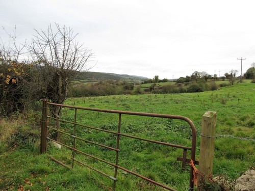 Photo pasture land - a3,