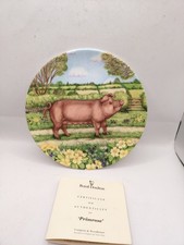 Royal Doulton Pigs In Bloom ' Primrose ' Decorative Plate With Certificate