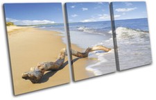 Beach Driftwood Waves Sunset