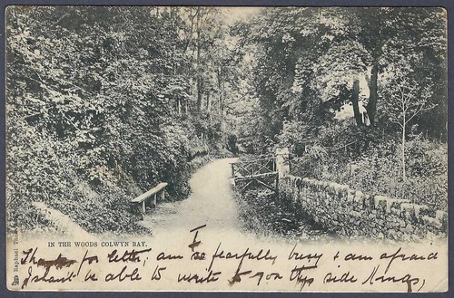The woods colwyn - in, woods,
