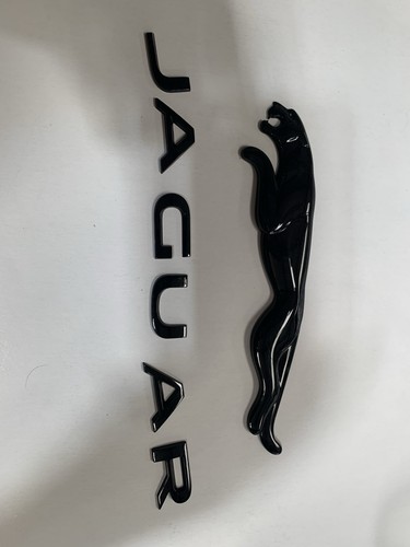 Genuine jaguar pace - i-pace, e