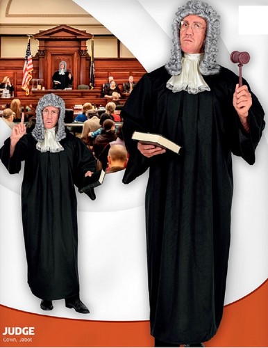 Adult judge wig - wig, grey