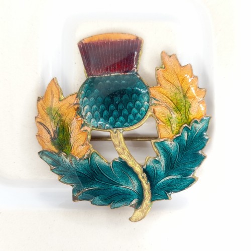 Scottish thistle brooch - scottish,