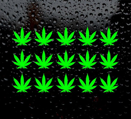 Detailed mini cannabis - 15,