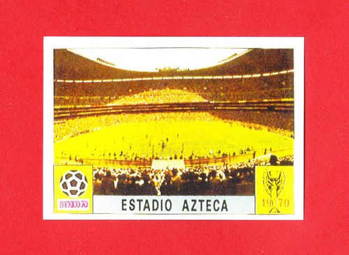 Panini fifa world - -,