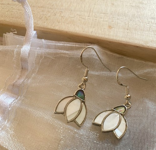 White lilly abalone shell - abalone,