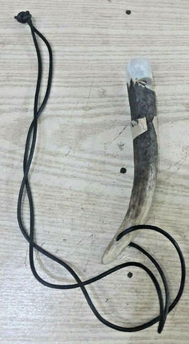 Stag antler - (pack,