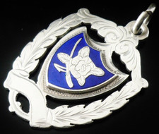 Sterling silver enamel - sterling, pocket