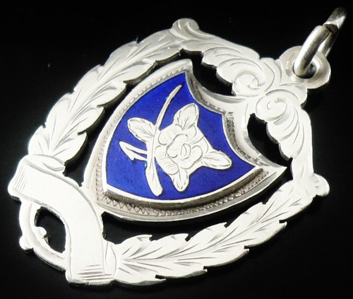 Sterling silver enamel - silver,