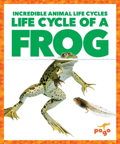 Life cycle frog by - cycle,