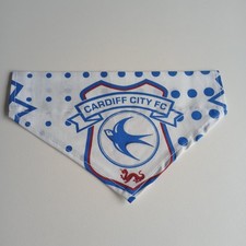 SMALL Cardiff City Football