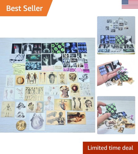 Pcs scale miniature - 57,