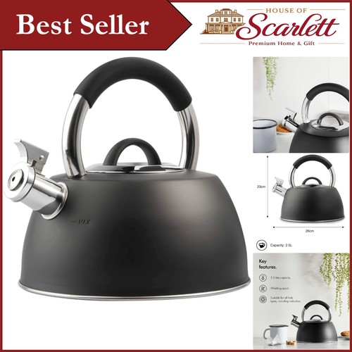 Retro whistling kettle - 2.5l,