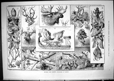 Old Hunting Sporting Exhibition Cleves Moose Horns Stag Birds Weapons