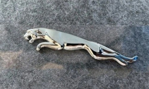 For jaguar leaper - for,