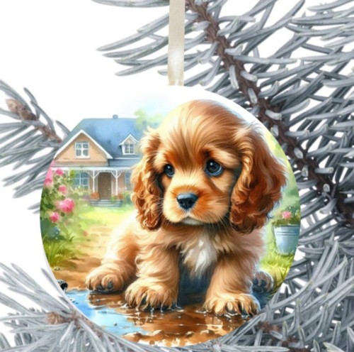Cocker spaniel puppy - puppy, dog