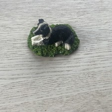 Border Collie Karvesl Kamlet