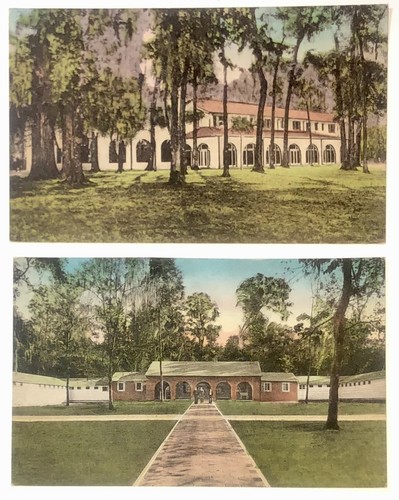Postcards wakulla springs - wakulla,