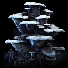 Corpse Mushroom Clusters |