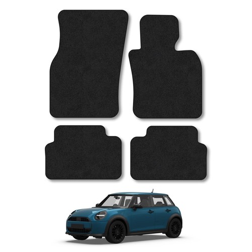 Mini cooper door - mini,