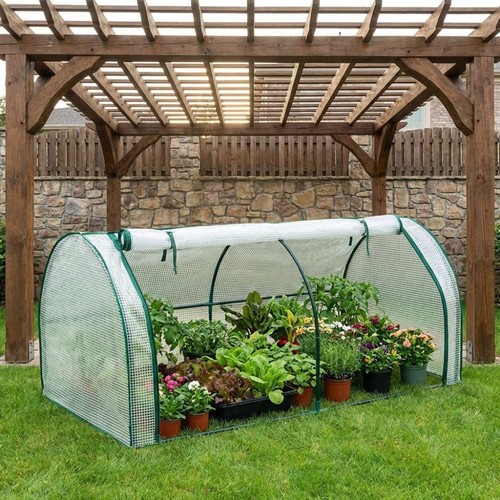 Mini plant greenhouse - plant, plastic
