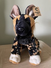 Chester Zoo - African Wild Dog