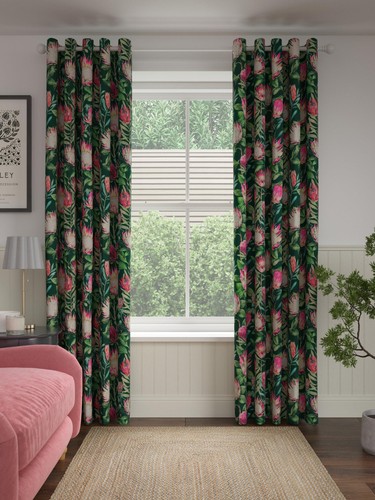 Sanderson king protea - sanderson,