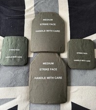 ESAPI & ESBI LEVEL 4 BALLISTIC