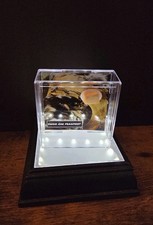 Star Wars - Return Of Jedi -