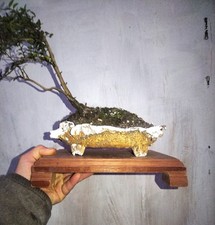 Bonsai / Plant Stand ( Hand