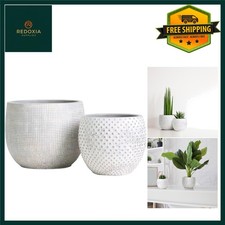 Chic Cream Gold Ceramic Plant