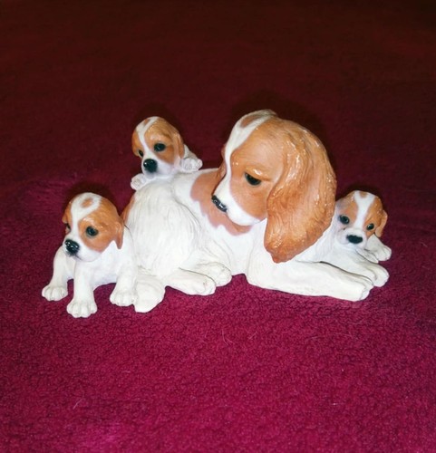 Cavalier king charles spaniel - cavalier,