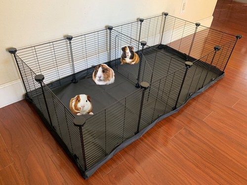 Large guinea pig enclosure - x-large,