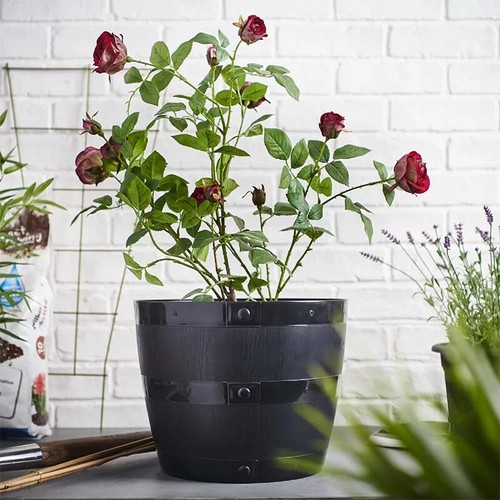 Black plastic planter plant - black,