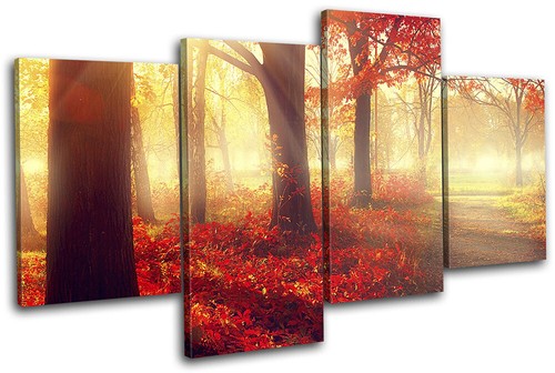 Autumn leaves fall - autumn, woodland