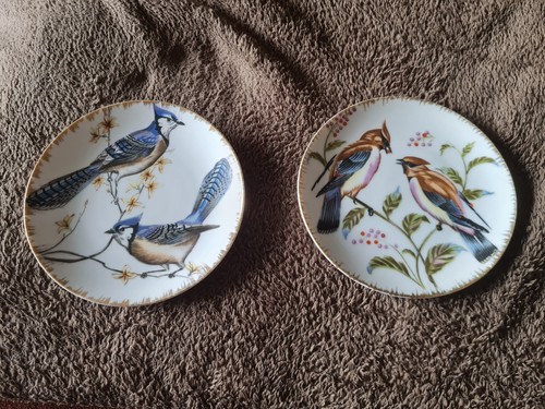 Vintage bird plates each - 2,
