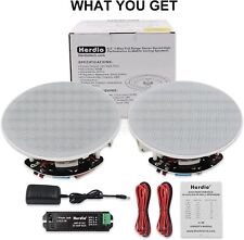 Herdio 6.5" 300W 2 - Way