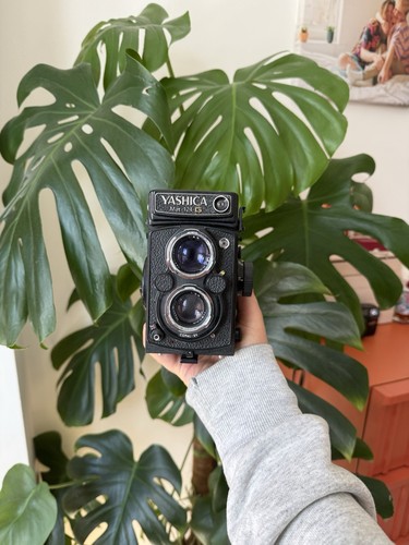 Yashica mat 124g tlr medium - yashica,
