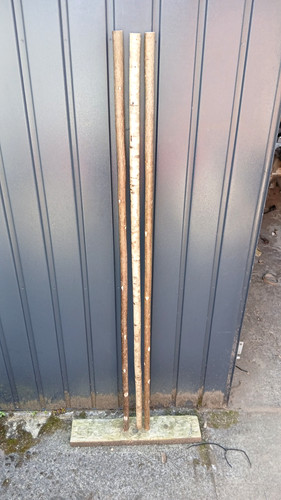 Hazel walking stick shanks - walking,