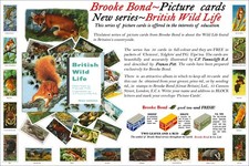 Brooke Bond Advert, 1958