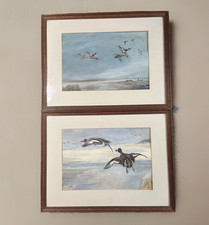 WILD DUCKS-Pair of Original Watercolour Paintings-Wildlife/Bird Art-T Wrigley