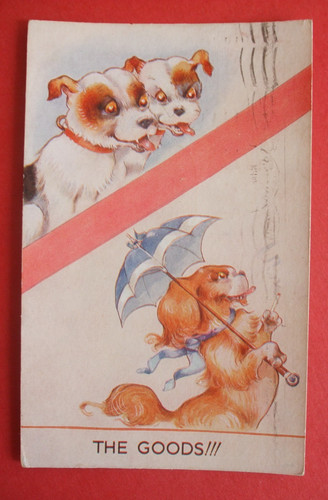 30s dog comic - eye, up