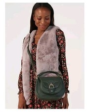 Paul Costelloe Gymkhana