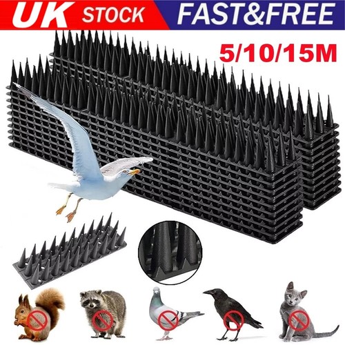 Bird spikes for pigeon - spikes,