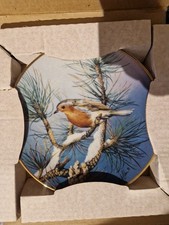 Robin Plate From Colourful